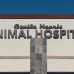 Gentle Hearts Animal Hospital