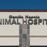 Gentle Hearts Animal Hospital ico