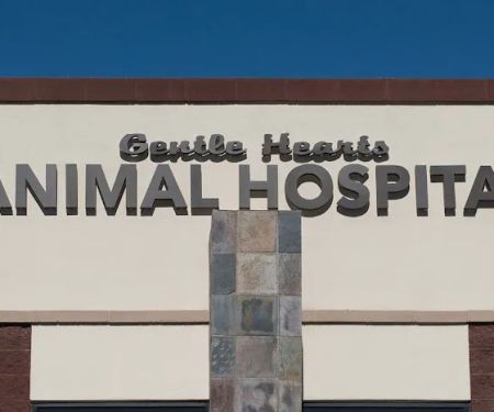Gentle Hearts Animal Hospital