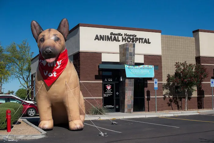 Gentle Hearts Animal Hospital Picture 8