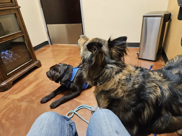 Gentle Hearts Animal Hospital Picture 6