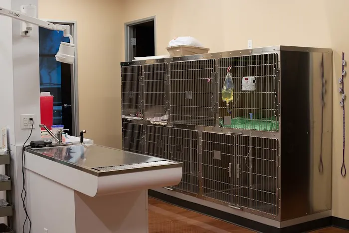 Gentle Hearts Animal Hospital Picture 5