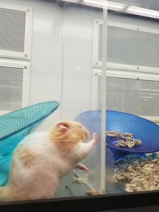 Petco Picture 3