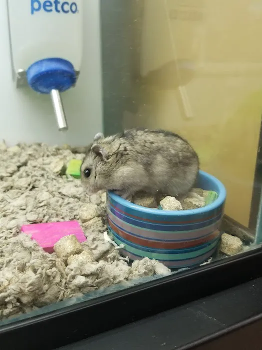 Petco Picture 8
