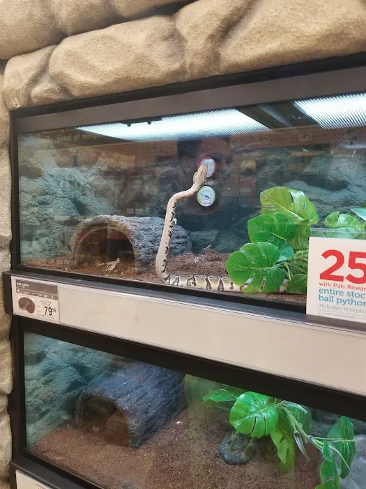 Petco Picture 5
