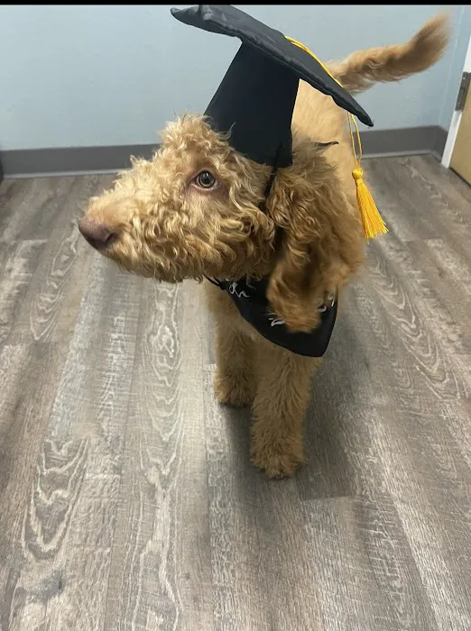 easyvet Veterinarian Goodyear Picture 9