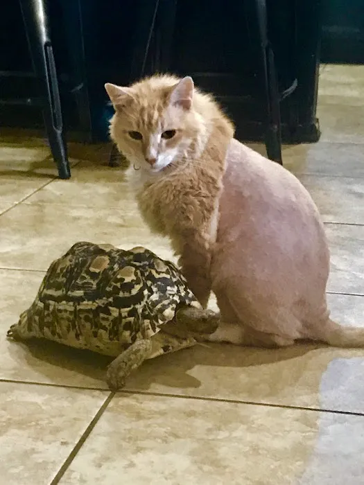 Legacy Animal Hospital Picture 1