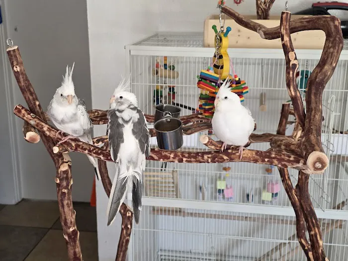 Birdz & Beyond Picture 4
