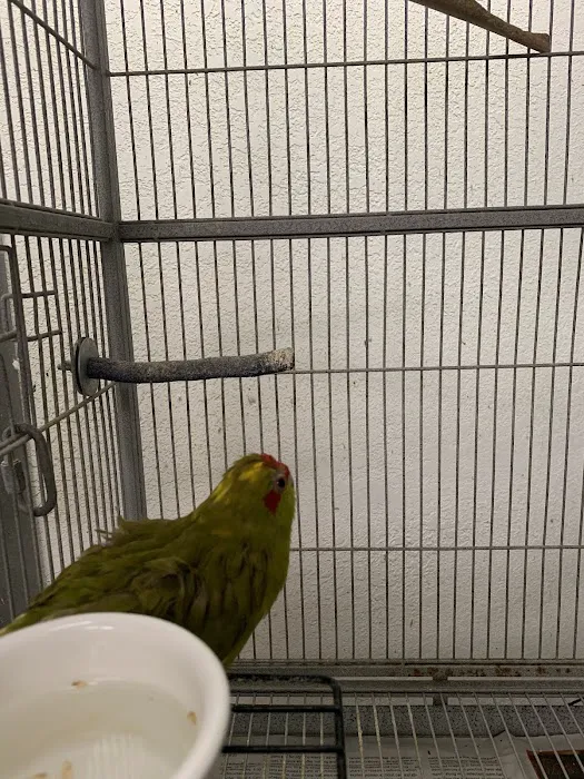 Birdz & Beyond Picture 2