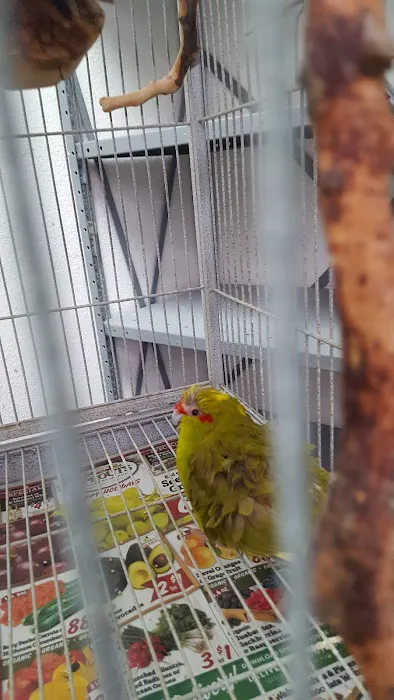 Birdz & Beyond Picture 7