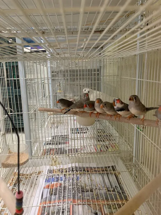Birdz & Beyond Picture 10