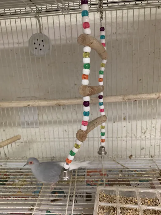 Birdz & Beyond Picture 3