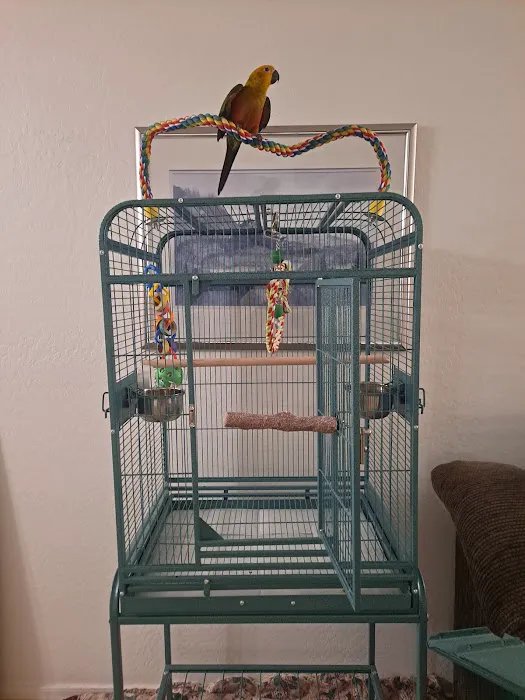 Birdz & Beyond Picture 8