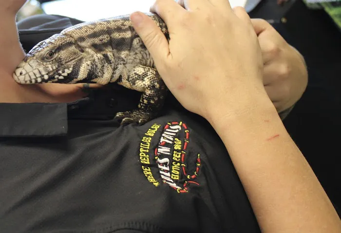 Scales 'N Tails Phoenix Central Picture 3