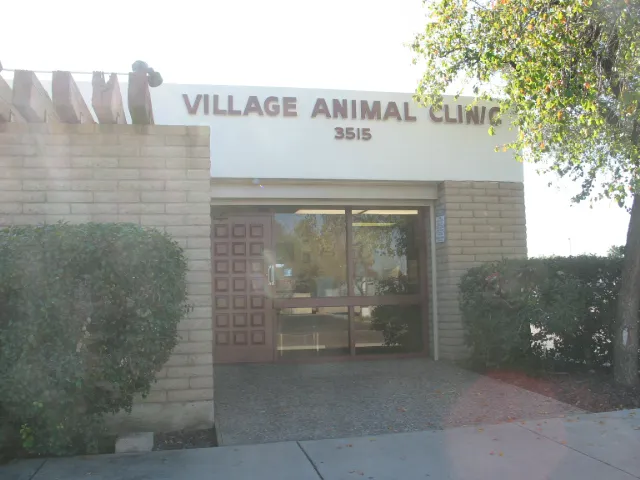Village Animal Clinic Picture 9