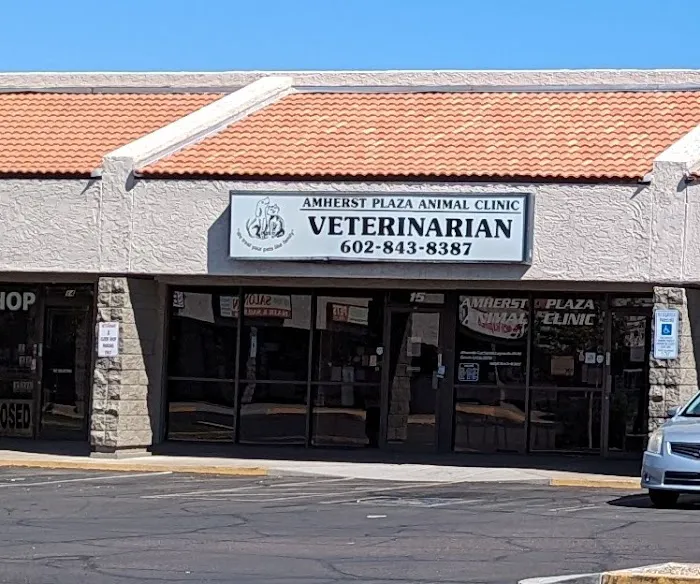 Amherst Animal Clinic Picture 7
