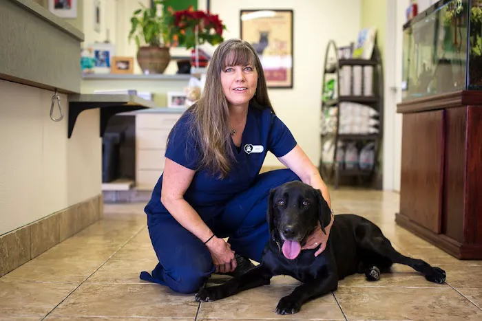 Topaz Veterinary Clinic Picture 4