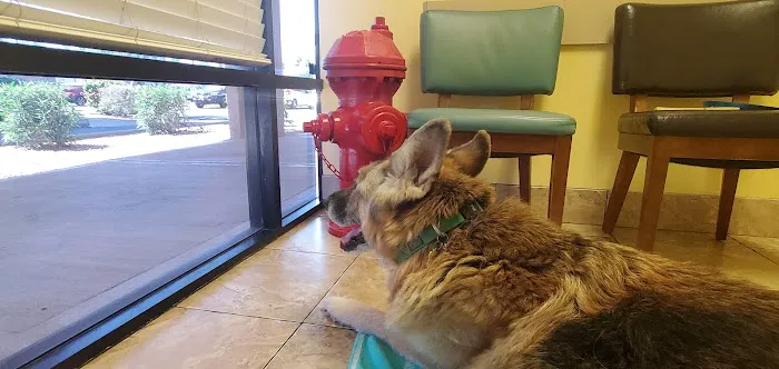 Topaz Veterinary Clinic Picture 1