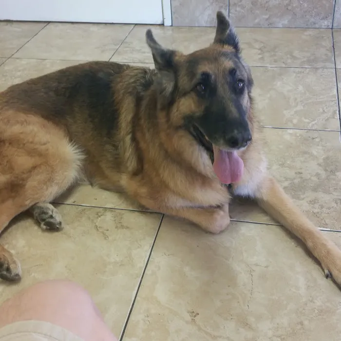 Topaz Veterinary Clinic Picture 8