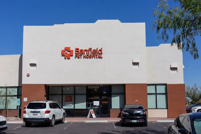 Banfield Pet Hospital Picture 10