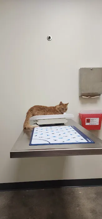 Vetco Total Care Animal Hospital Picture 1