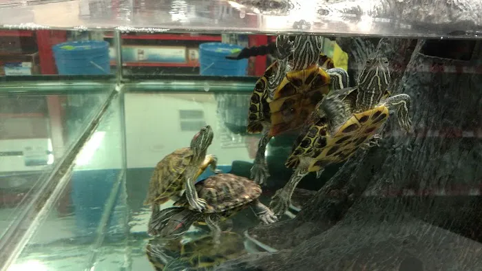 Petco Picture 7