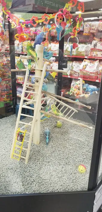 Petco Picture 5