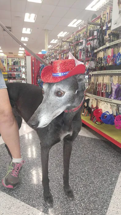 Petco Picture 6