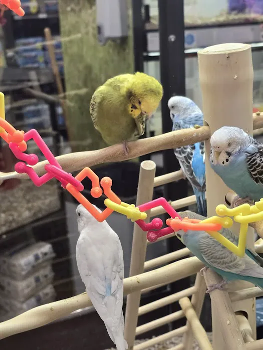 Petco Picture 8