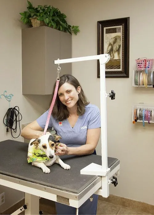 VCA Elliot Park Animal Hospital Picture 3