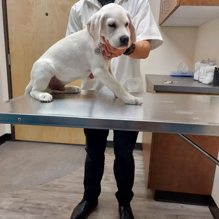 Primary Pet Care Picture 10