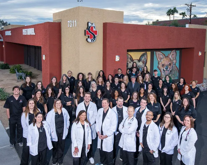 The Scottsdale Veterinary Clinic Picture 4