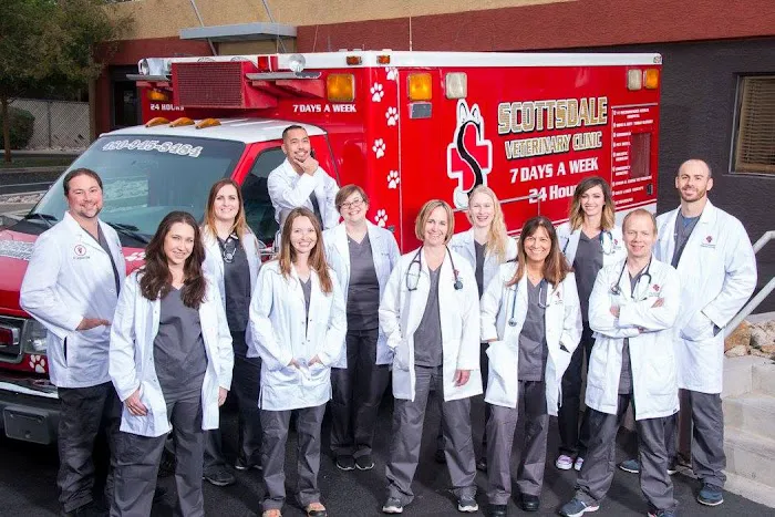 The Scottsdale Veterinary Clinic Picture 2