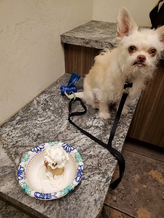 The Scottsdale Veterinary Clinic Picture 6