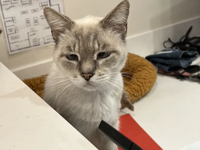 24 Hour Emergency Vet Picture 3