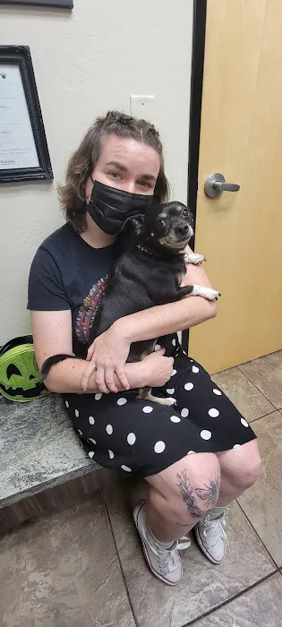 Scottsdale Veterinary Clinic Dental & Surgery Center Picture 5