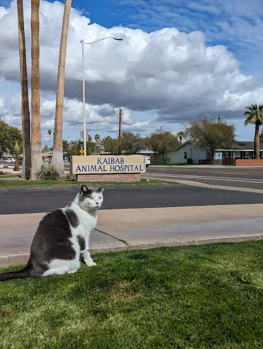 Kaibab Animal Hospital Picture 6