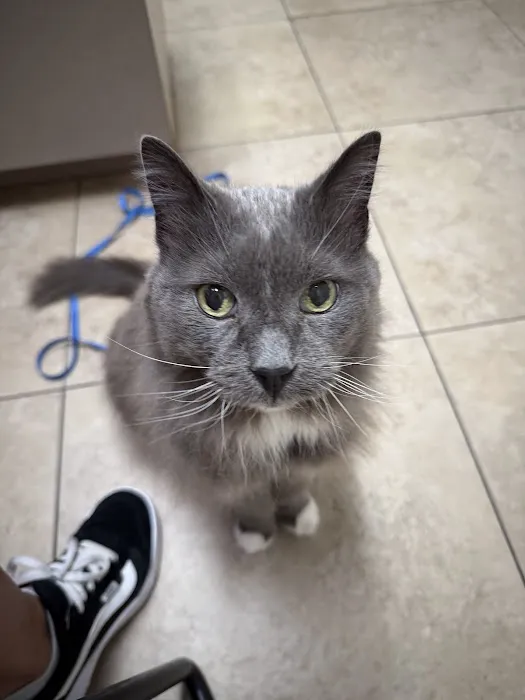 Kaibab Animal Hospital Picture 7