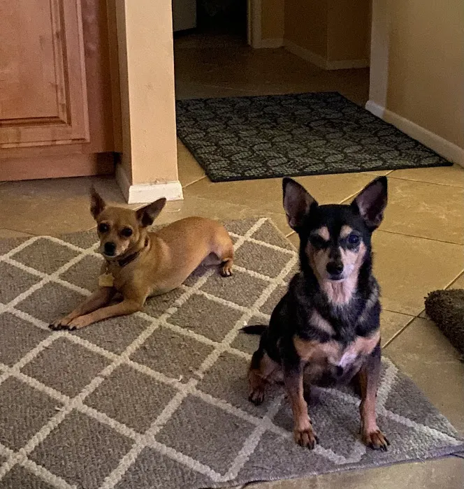 Kaibab Animal Hospital Picture 4