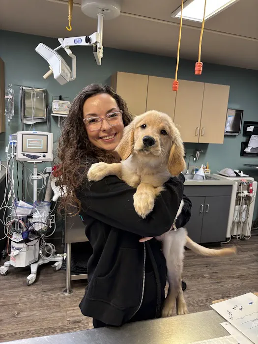 Adobe Animal Hospital Picture 6