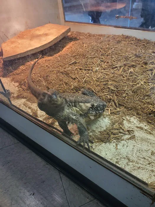 Arizona Reptile Center Picture 5