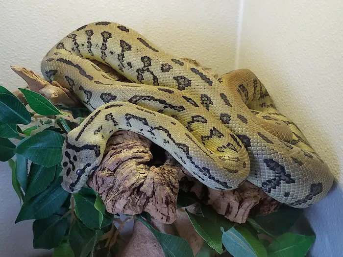 Arizona Reptile Center Picture 4
