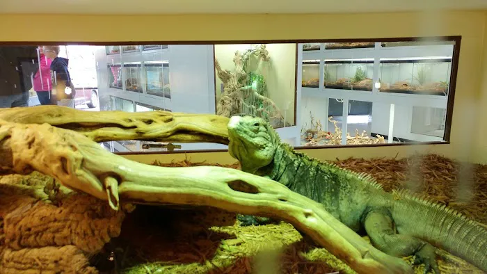 Arizona Reptile Center Picture 3