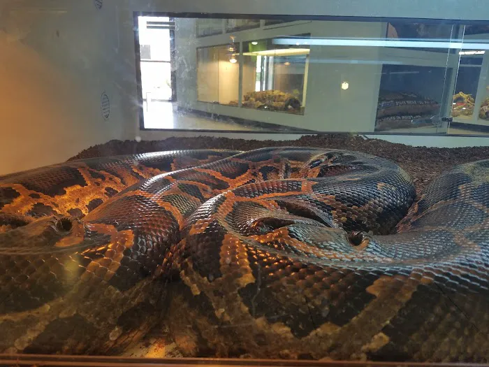 Arizona Reptile Center Picture 7