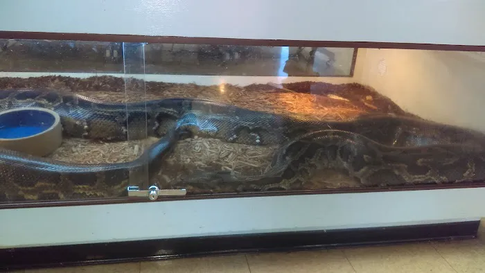 Arizona Reptile Center Picture 8