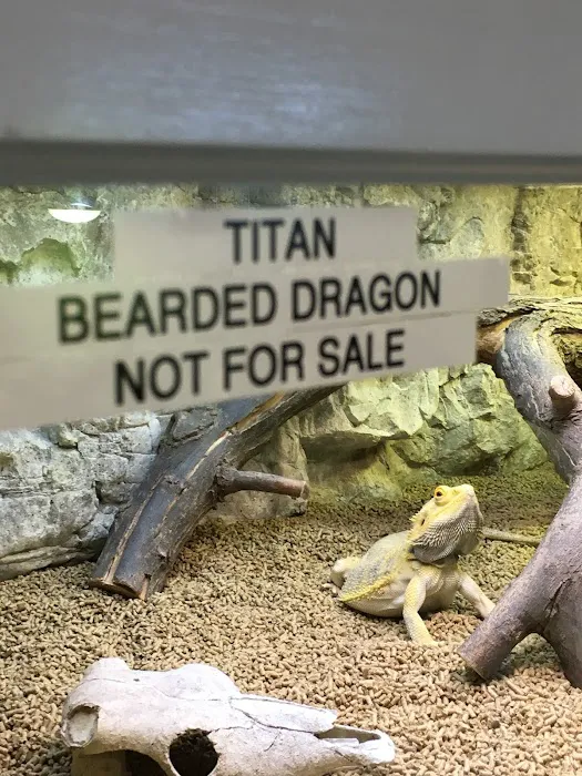 Arizona Reptile Center Picture 6