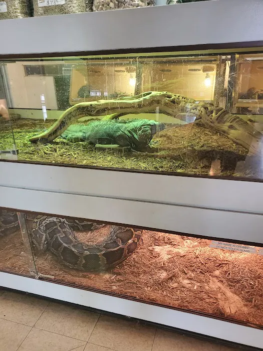 Arizona Reptile Center Picture 2