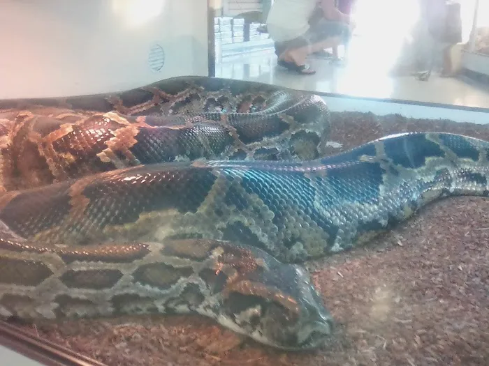 Arizona Reptile Center Picture 9