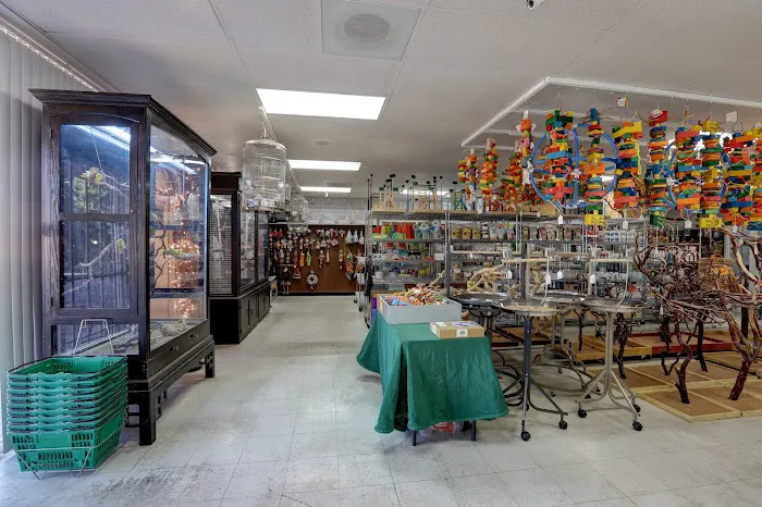 Arizona Bird Store Picture 5