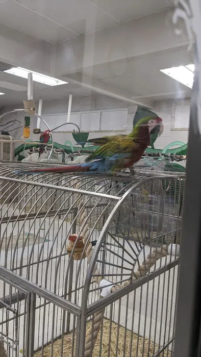 Arizona Bird Store Picture 4
